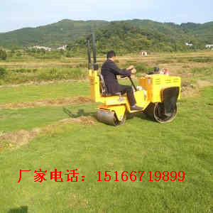 O1CN011bS62cOjwP17aet_!!0-rate.jpg_400<em></em>x400_副本