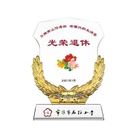 2024年度优秀教师 最美教师颁奖教育工作者奖杯十佳乡村教师