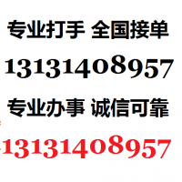 雇职业打手替人寻仇复仇报仇13131408957