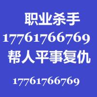 怎么联系杀手打手报仇出气17761766769