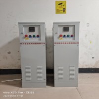 实验室真空泵排气灭菌箱 真空排气灭菌器