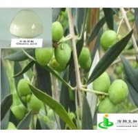 齐墩果酸（金龟莲）