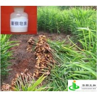 薯蓣皂素（黄姜/穿地龙）