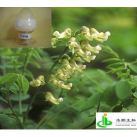 苦参碱（苦参/苦豆子）