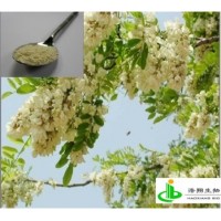 槲皮素（槐米/芦丁）
