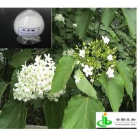 熊果酸（泡桐叶/枇杷叶）