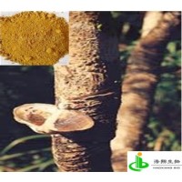 漆黄素（黄栌/黄杨木）
