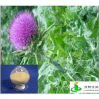 水飞蓟素（水飞蓟）
