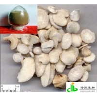 白芍提取物（芍药苷）