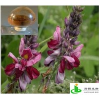 葛根提取物（葛根总黄酮/葛根素）